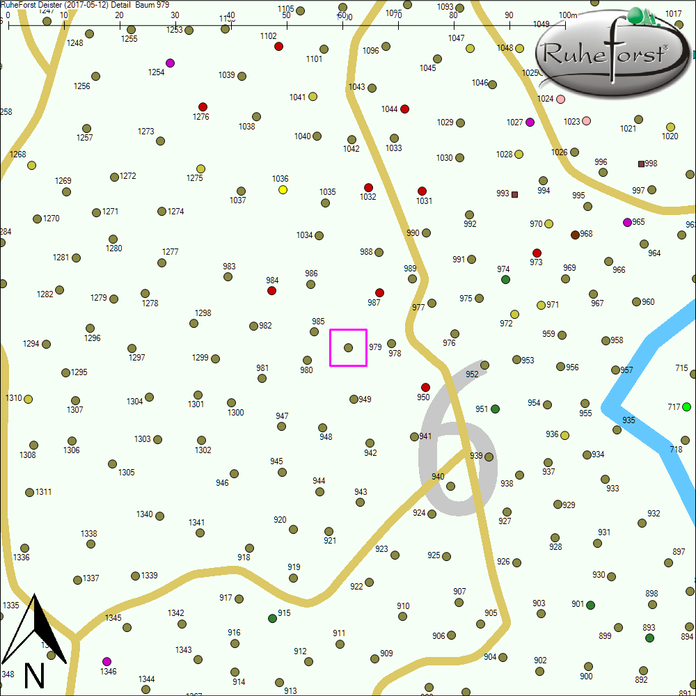 Detailkarte zu Baum 979