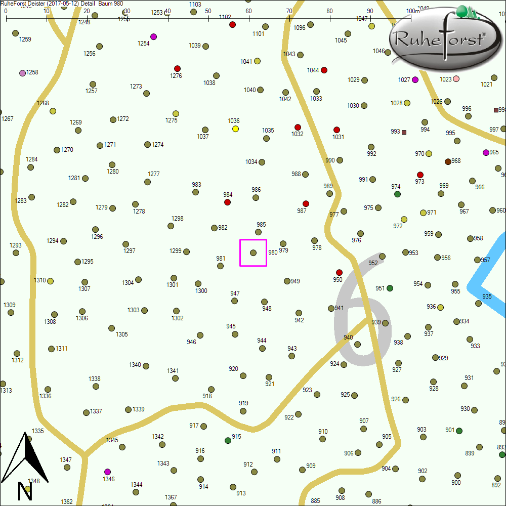 Detailkarte zu Baum 980