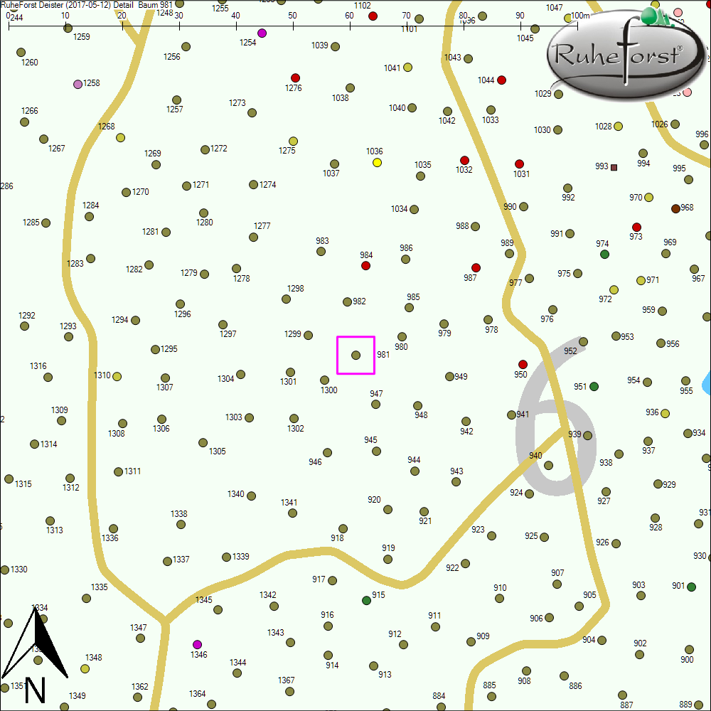 Detailkarte zu Baum 981