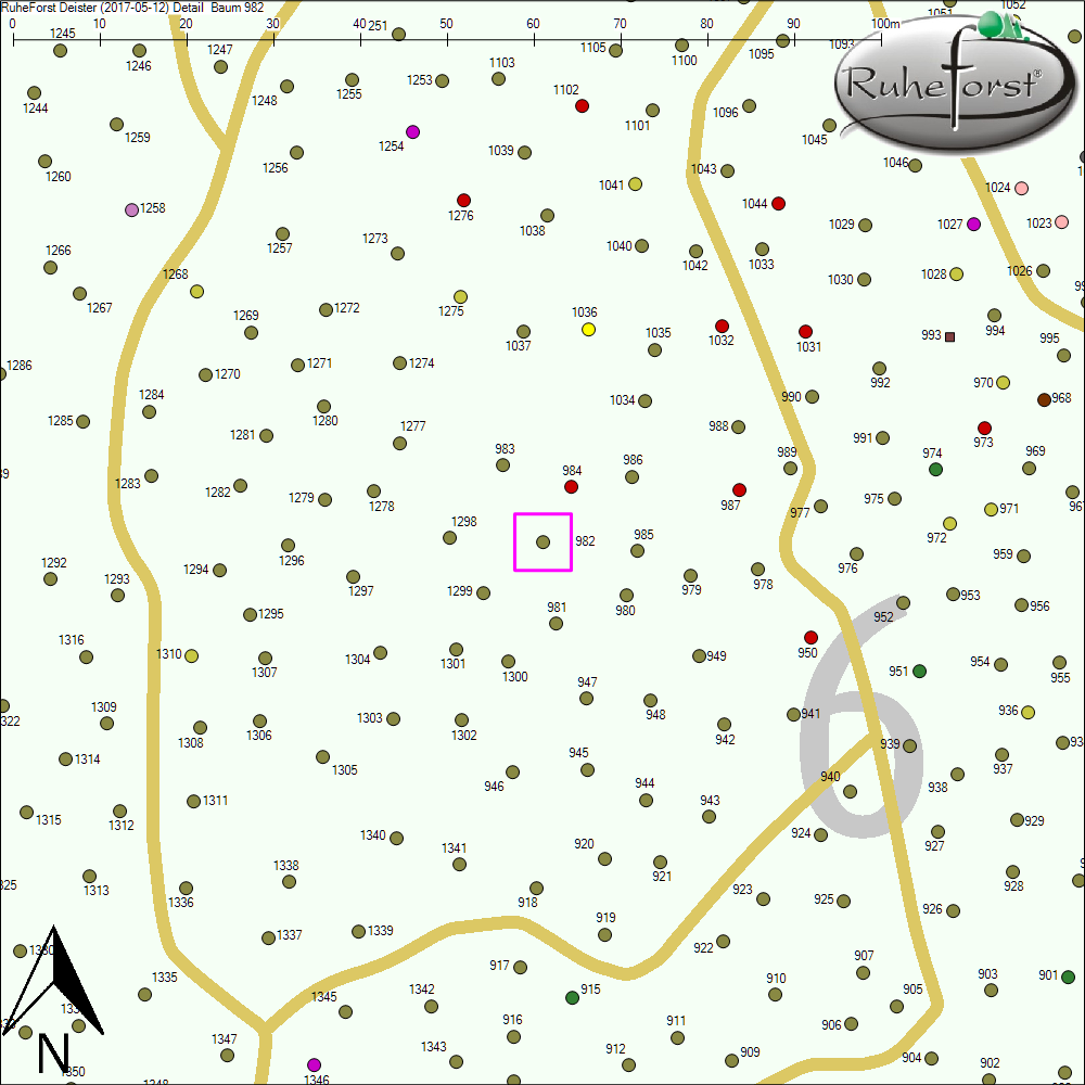 Detailkarte zu Baum 982