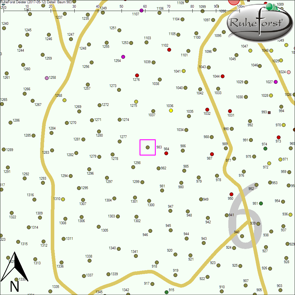 Detailkarte zu Baum 983