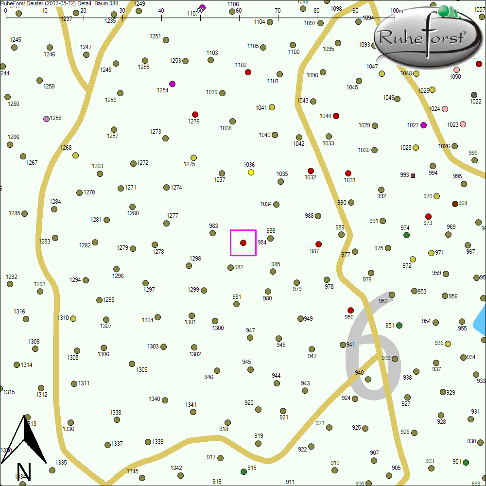 Detailkarte zu Baum 984