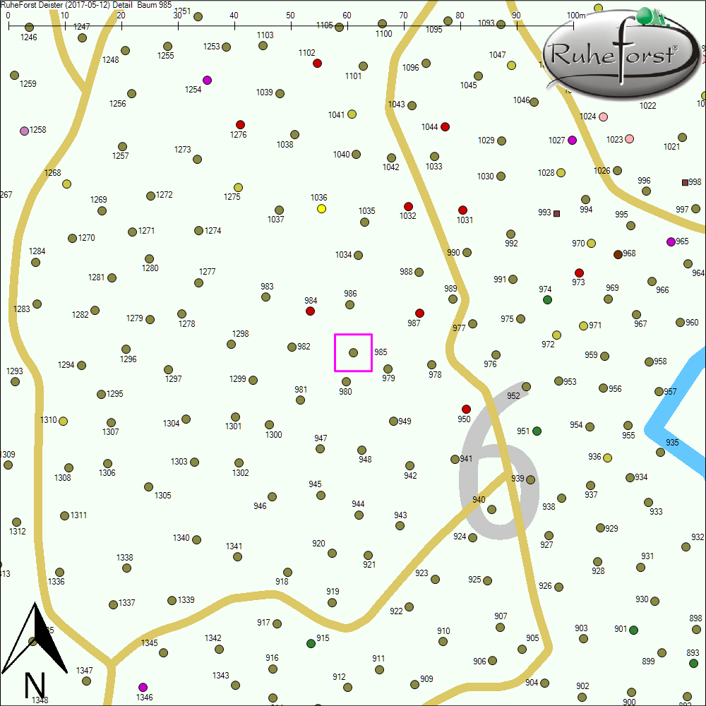 Detailkarte zu Baum 985