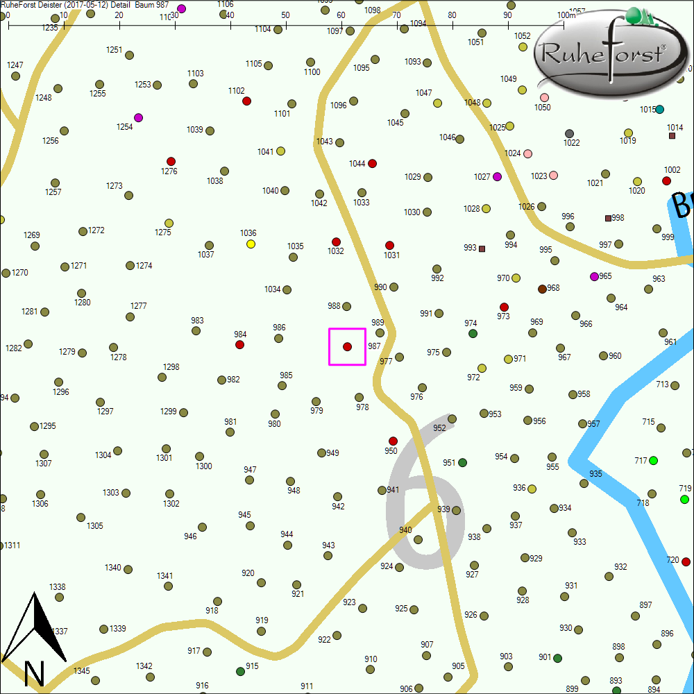 Detailkarte zu Baum 987