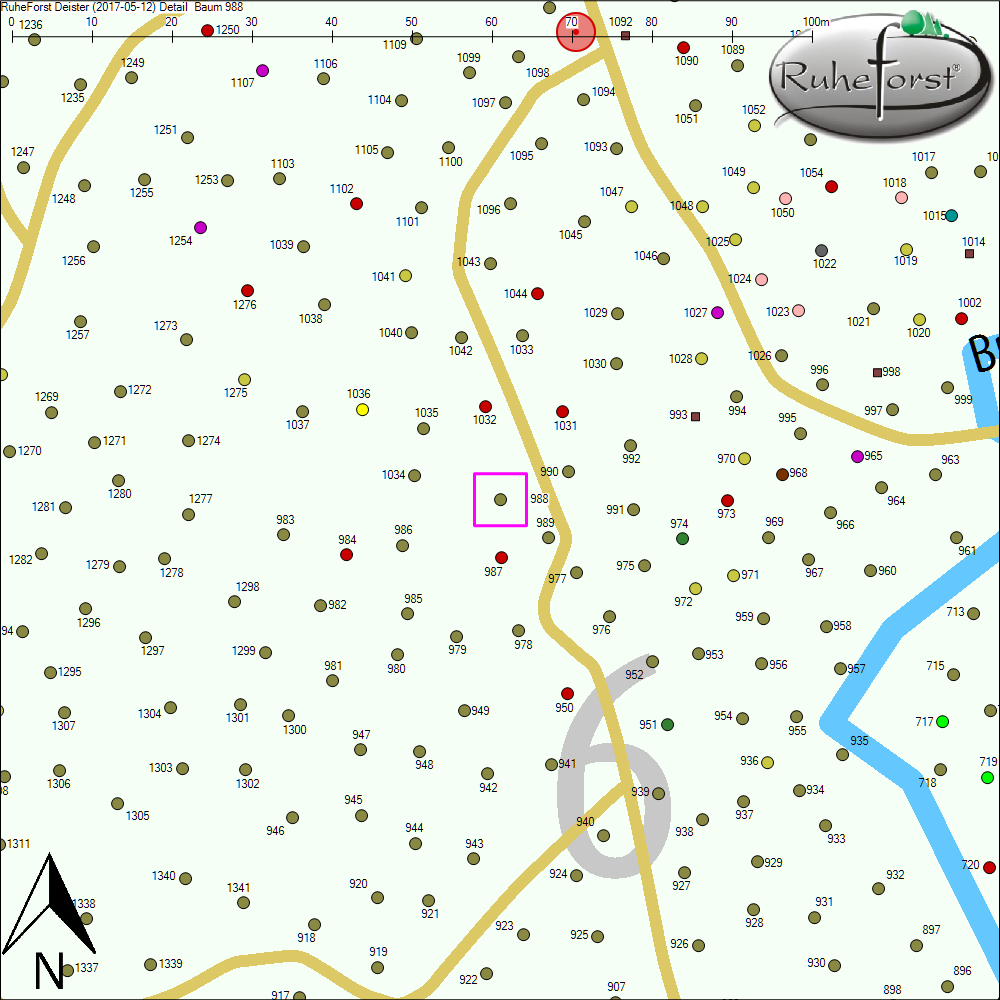 Detailkarte zu Baum 988