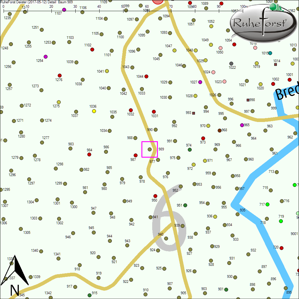 Detailkarte zu Baum 989