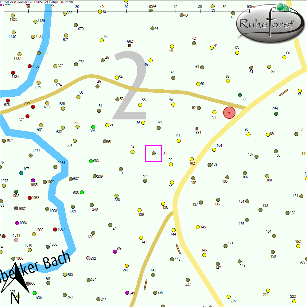 Detailkarte zu Baum 98