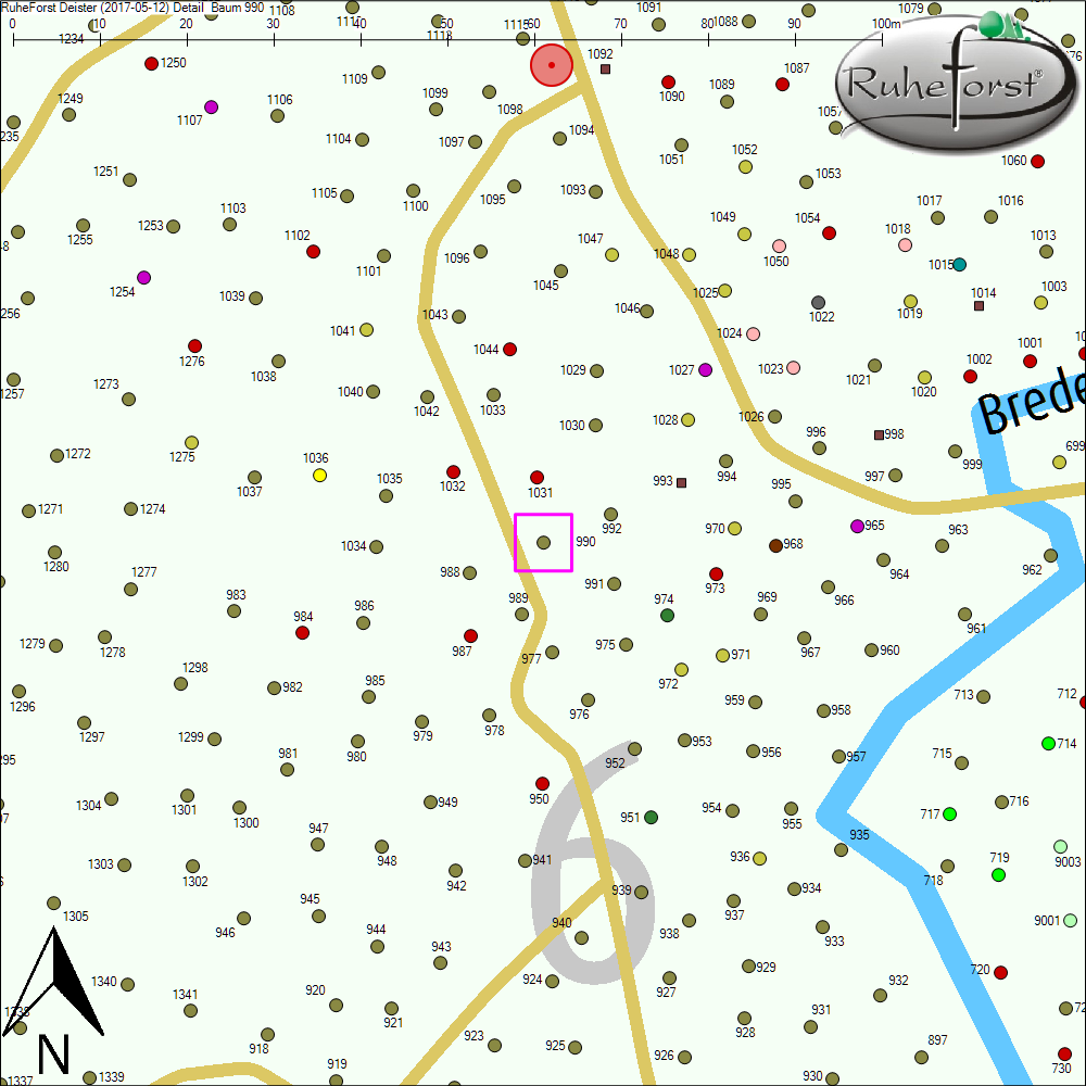 Detailkarte zu Baum 990