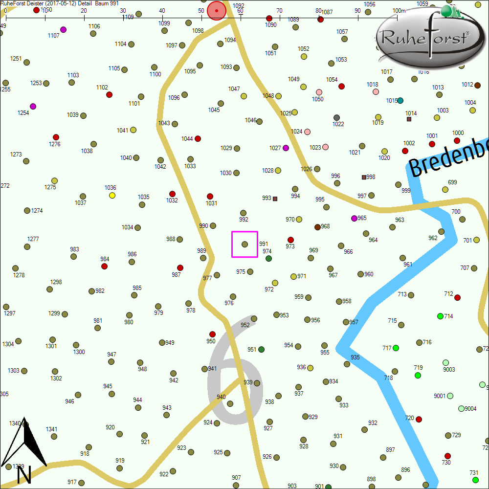 Detailkarte zu Baum 991