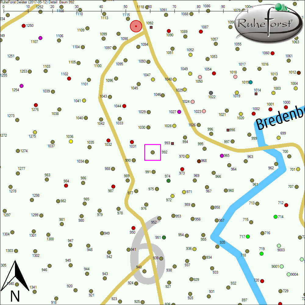 Detailkarte zu Baum 992
