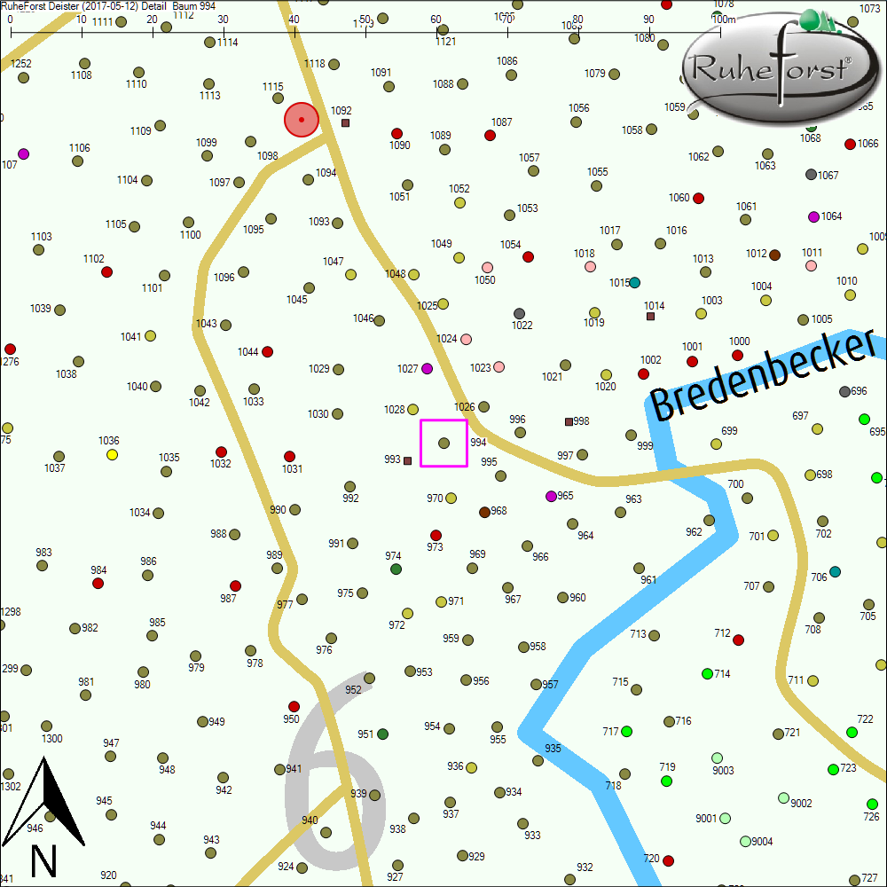 Detailkarte zu Baum 994