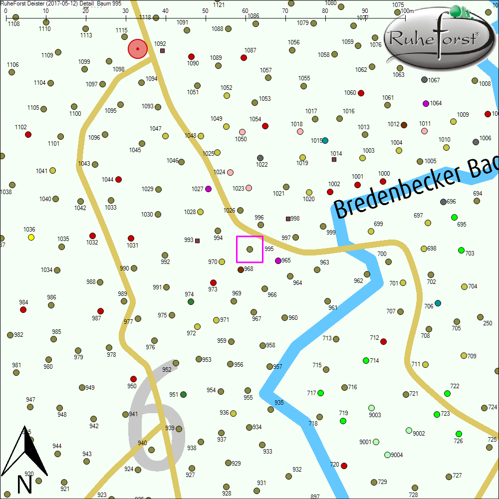 Detailkarte zu Baum 995