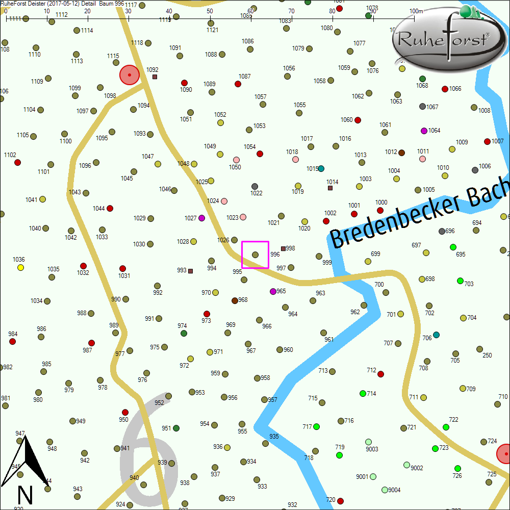 Detailkarte zu Baum 996