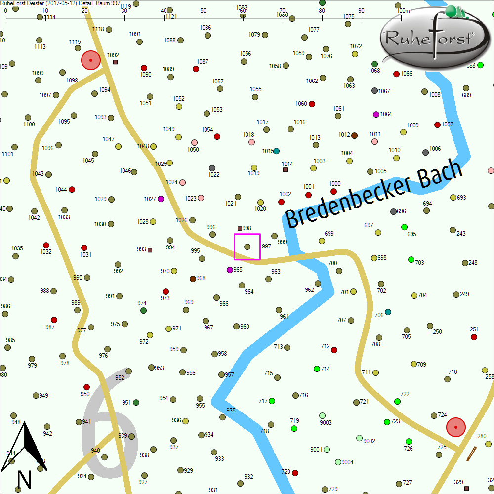 Detailkarte zu Baum 997