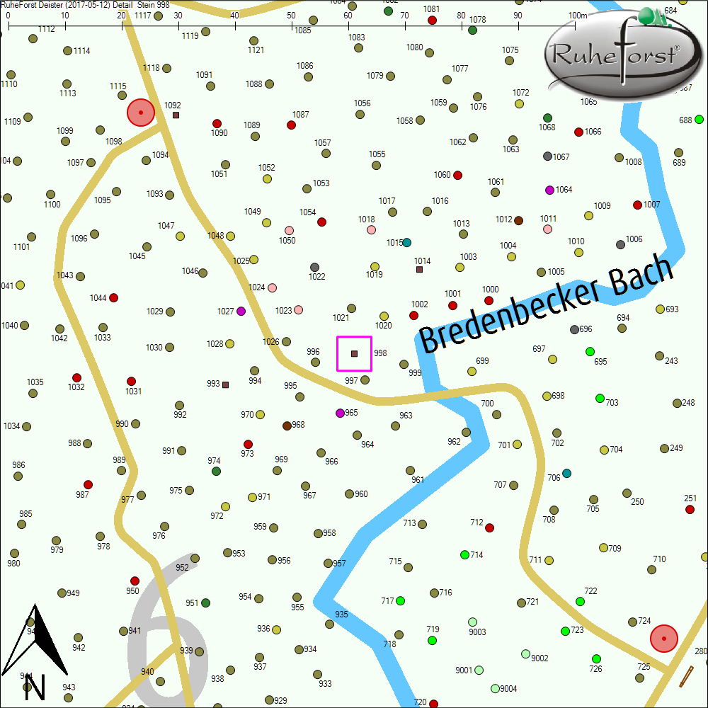 Detailkarte zu Stein 998