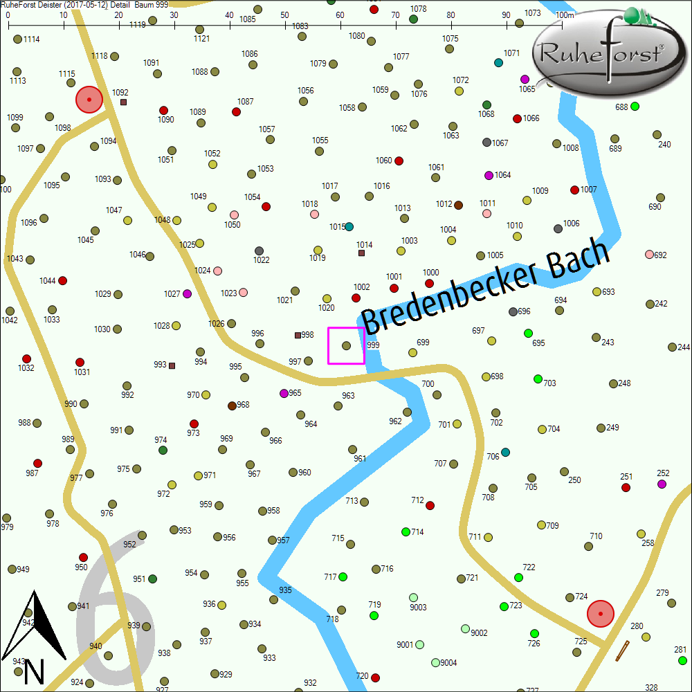 Detailkarte zu Baum 999