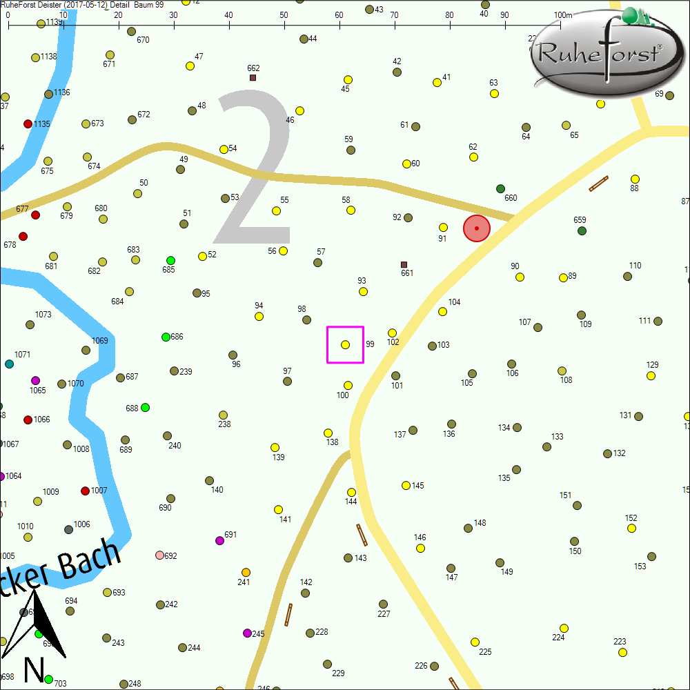 Detailkarte zu Baum 99