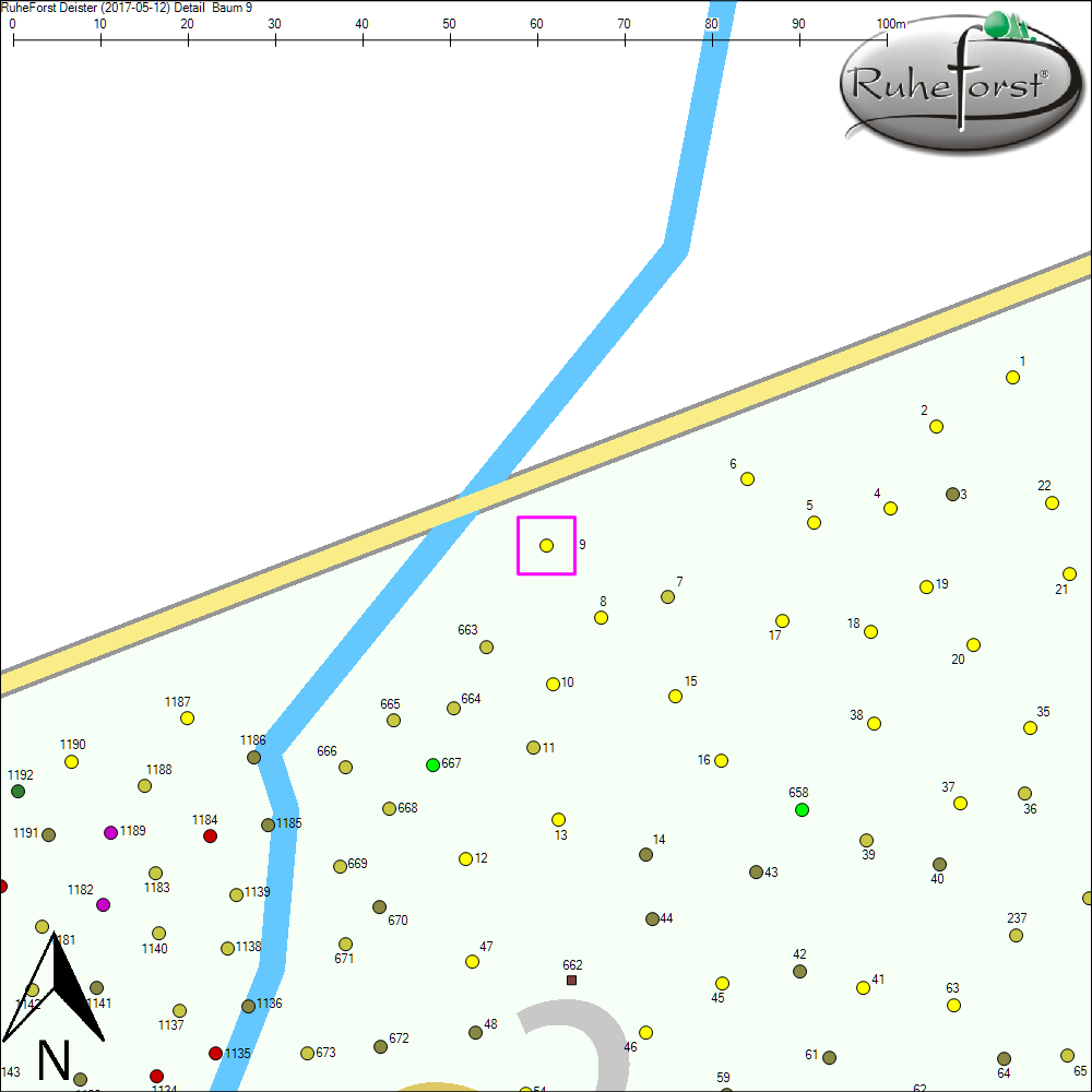 Detailkarte zu Baum 9